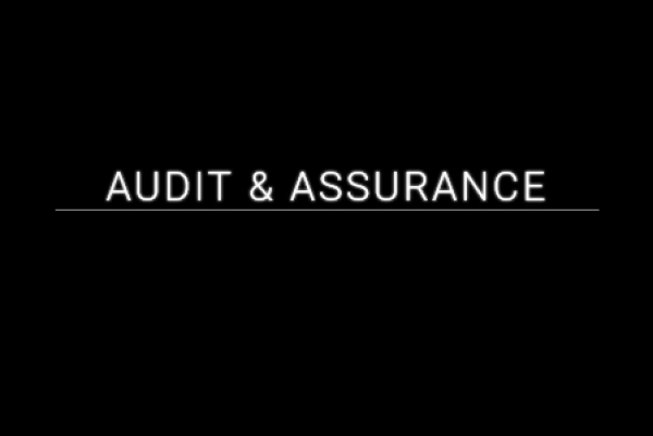 Audit &amp; Assurance